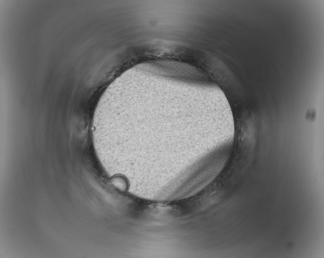 X0000111900607200908241004