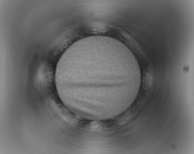 X0000111900608200908241004