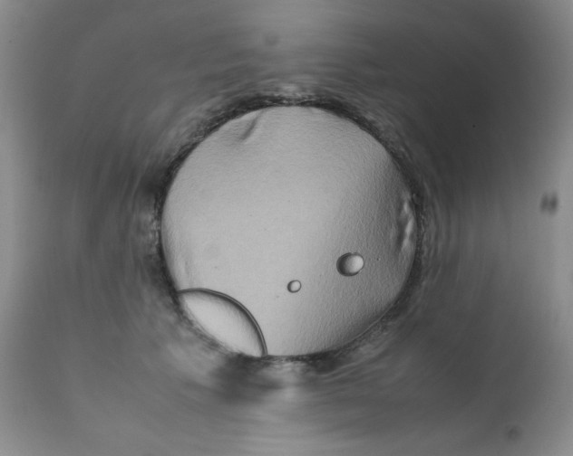 X0000111900609200908241004