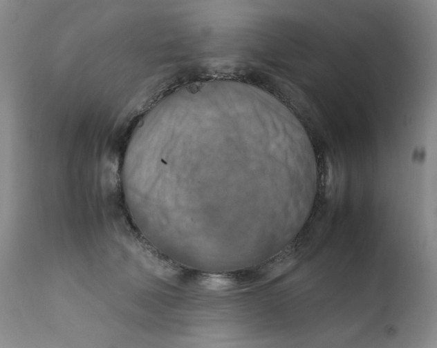 X0000111900610200908241004