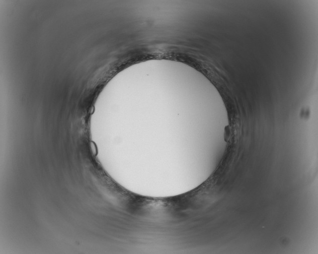 X0000111900611200908241004