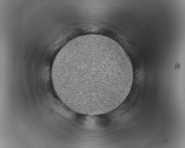 X0000111900612200908241004