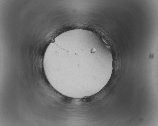 X0000111900613200908241004