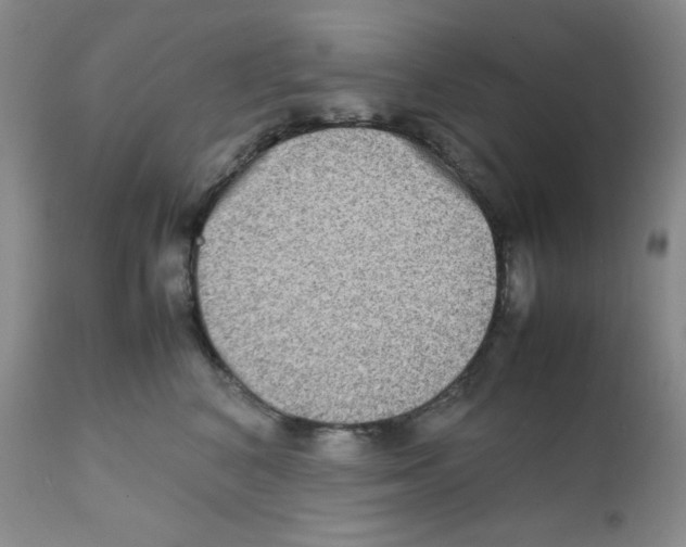 X0000111900616200908241004