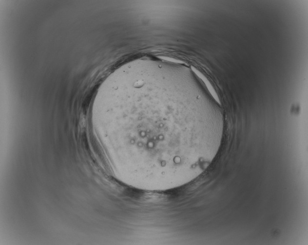 X0000111900617200908241004