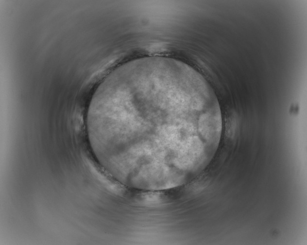 X0000111900618200908241004