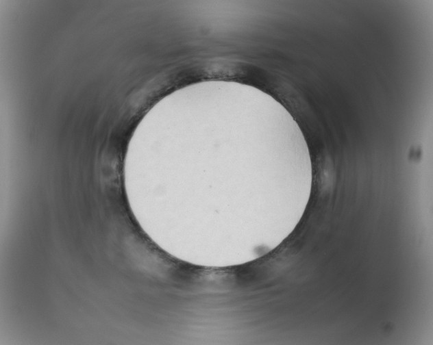 X0000111900619200908241004