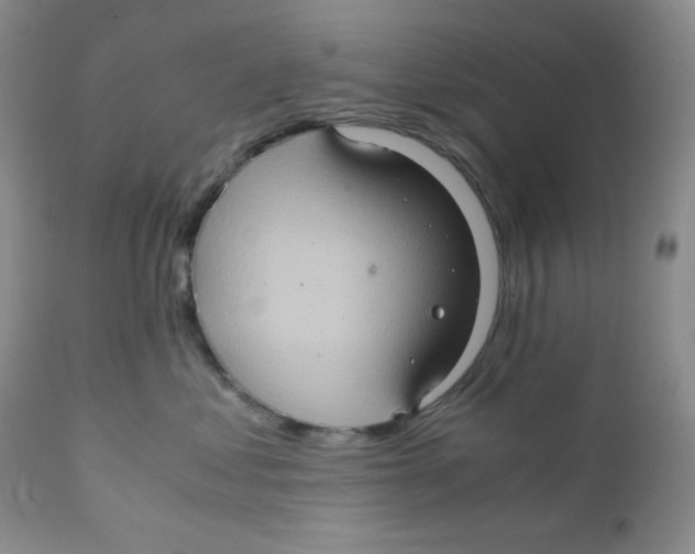 X0000111900621200908241004