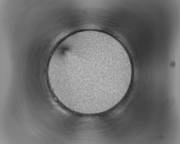 X0000111900625200908241003