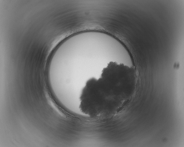 X0000111900630200908241003