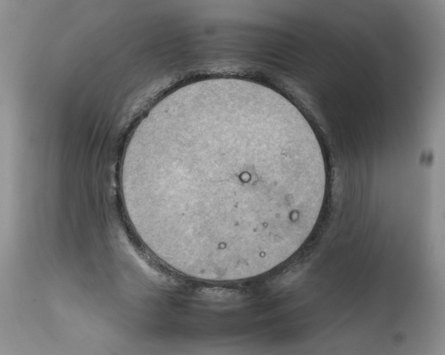 X0000111900633200908241003