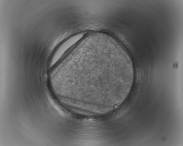 X0000111900634200908241003