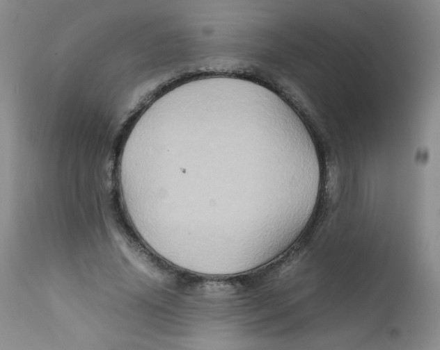 X0000111900636200908241003