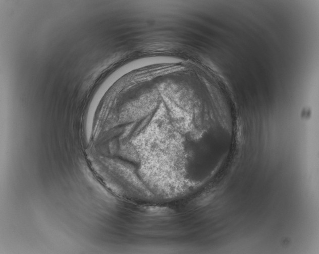 X0000111900637200908241003