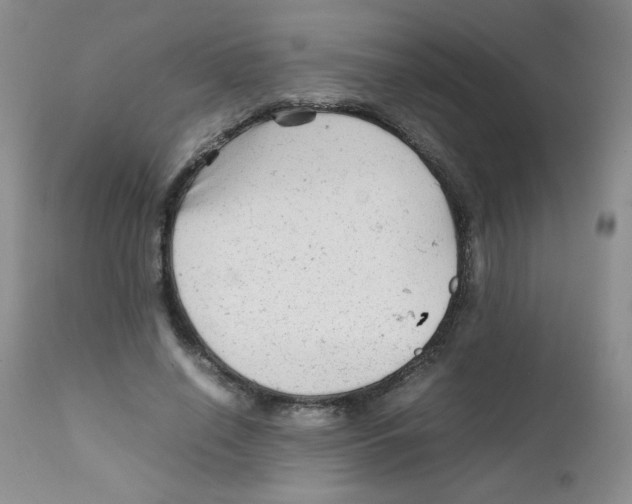 X0000111900638200908241003