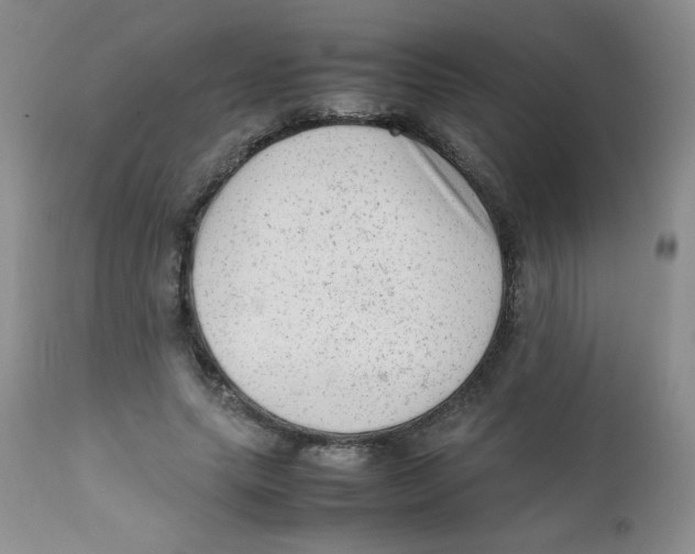 X0000111900639200908241003