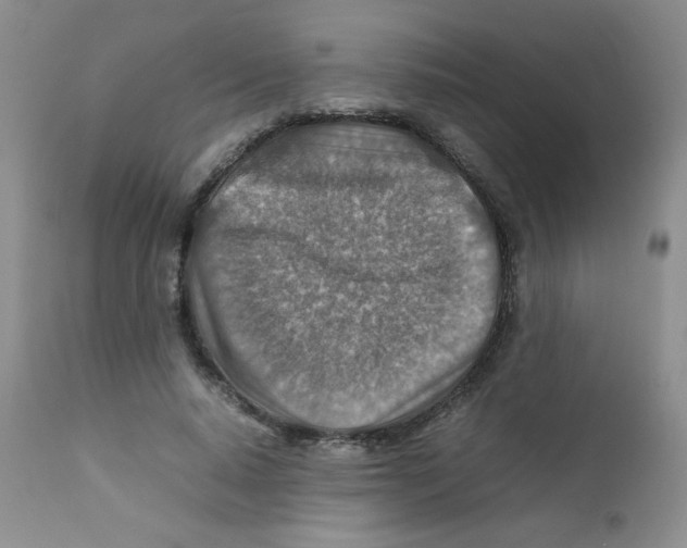 X0000111900640200908241003