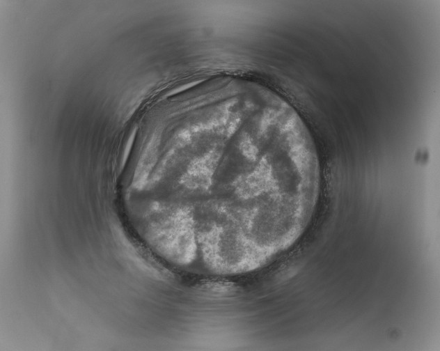 X0000111900642200908241003