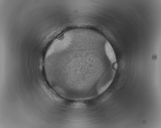 X0000111900644200908241003