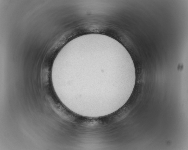 X0000111900646200908241003