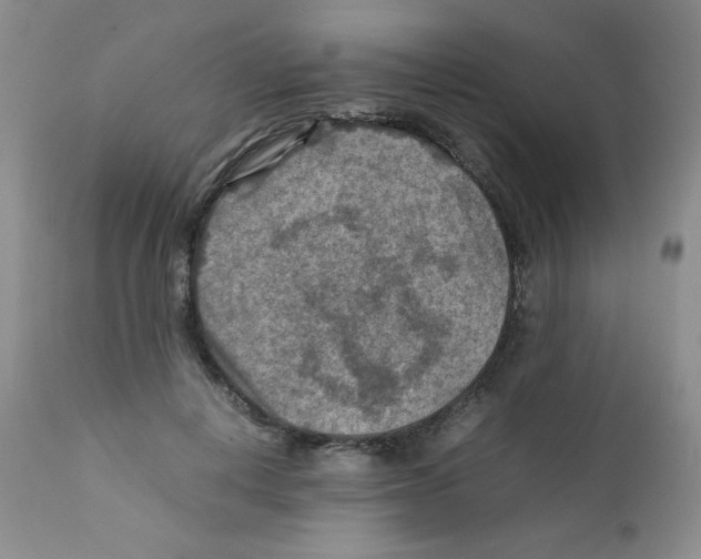 X0000111900648200908241003