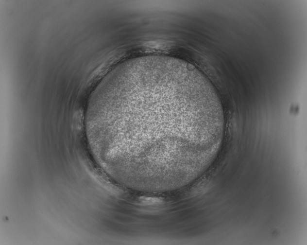 X0000111900649200908241003