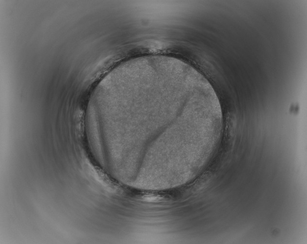 X0000111900650200908241003