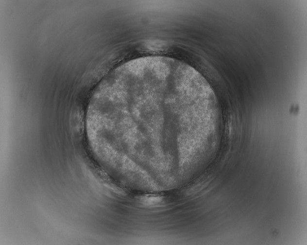 X0000111900651200908241003