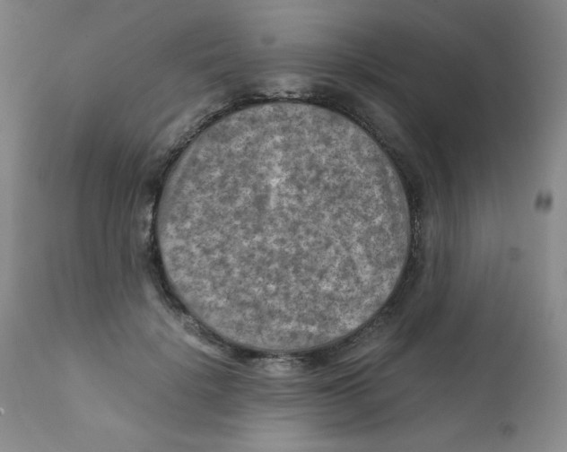 X0000111900652200908241003