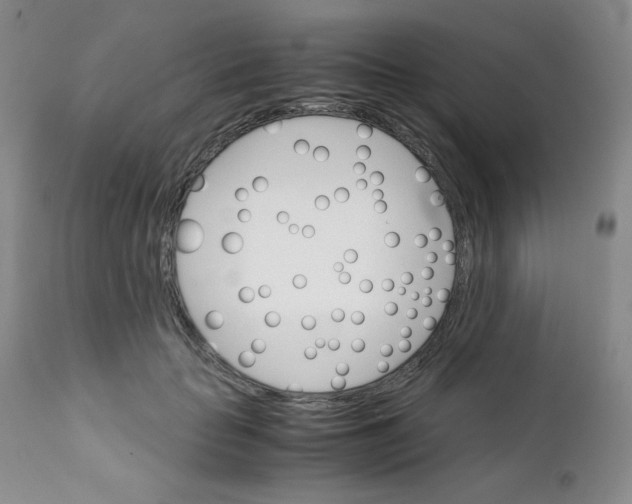 X0000111900653200908241003