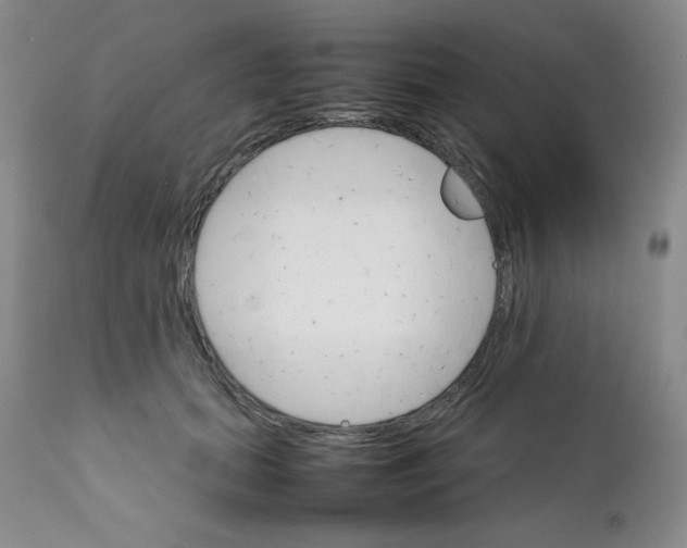 X0000111900655200908241003