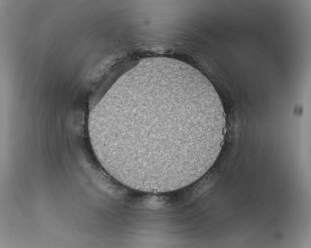 X0000111900656200908241003