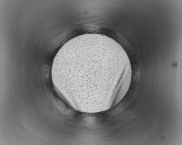 X0000111900658200908241003