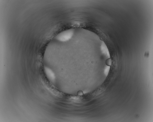 X0000111900659200908241003