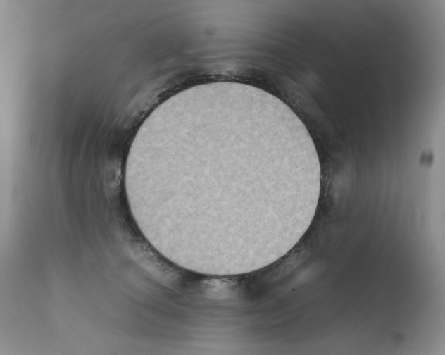 X0000111900660200908241003