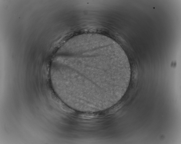 X0000111900661200908241003