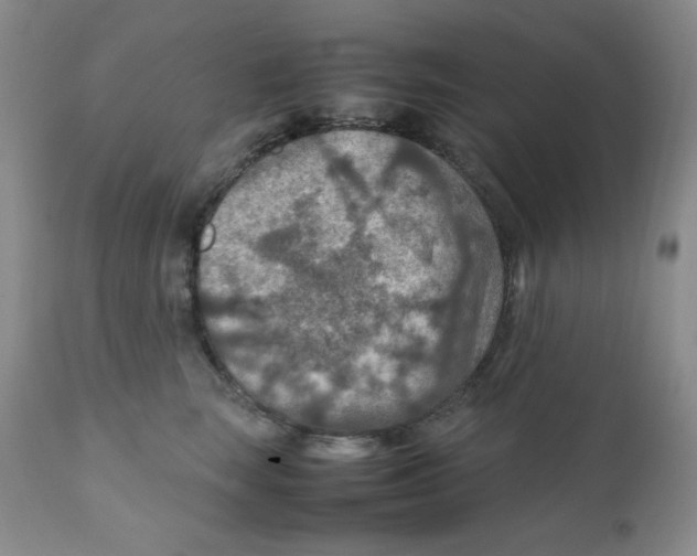 X0000111900663200908241003