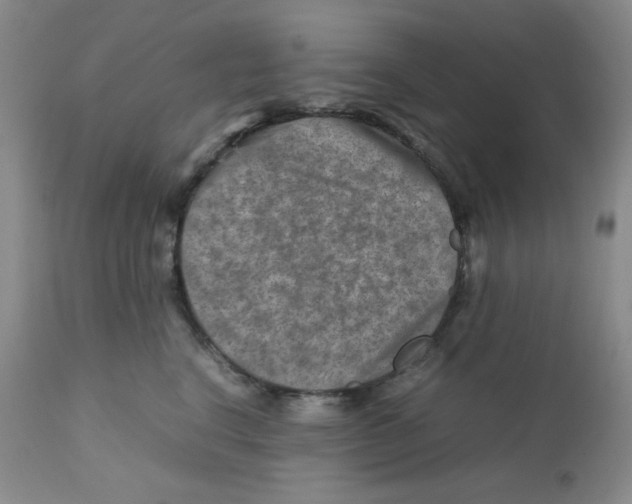 X0000111900664200908241003