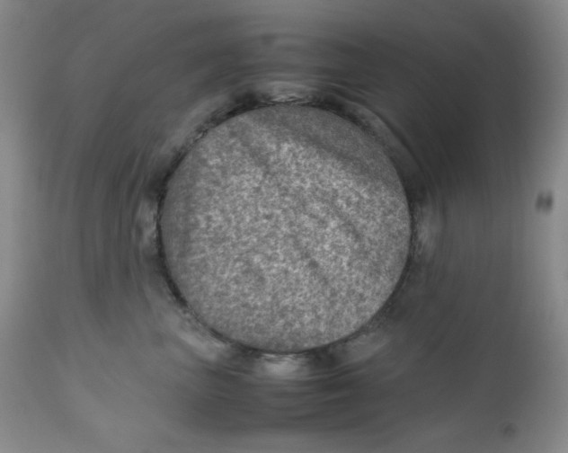 X0000111900667200908241003