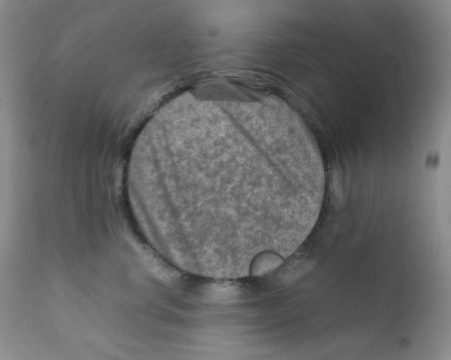 X0000111900668200908241003