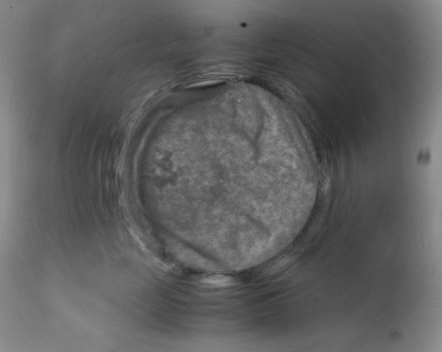 X0000111900669200908241003