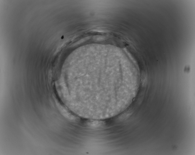 X0000111900670200908241003