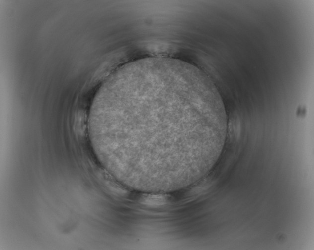 X0000111900671200908241004