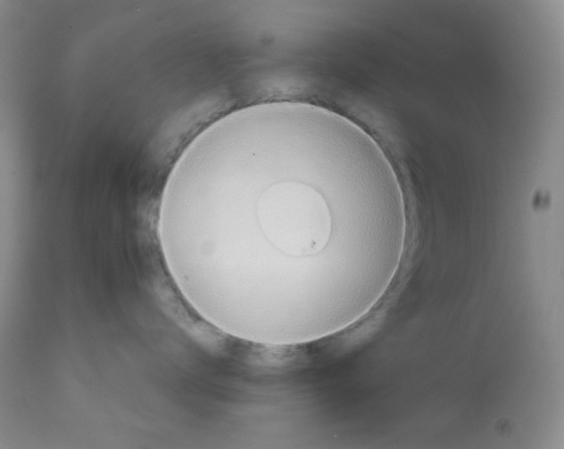 X0000111900672200908241004