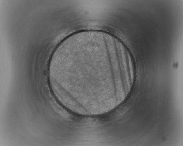 X0000111900673200908241003