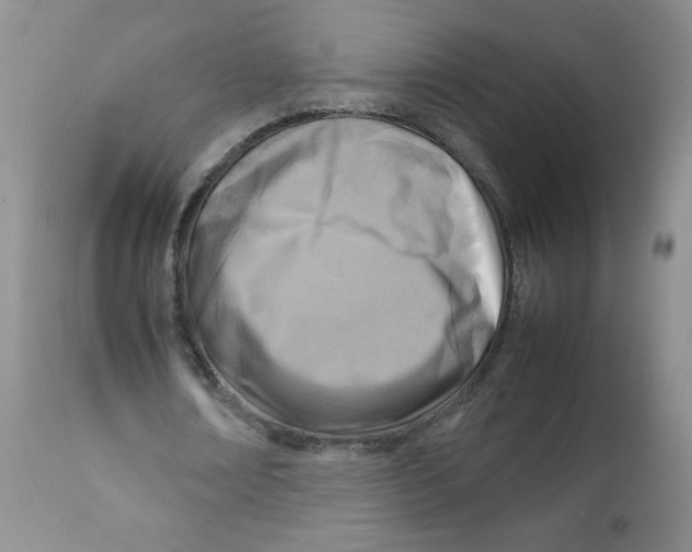 X0000111900674200908241003