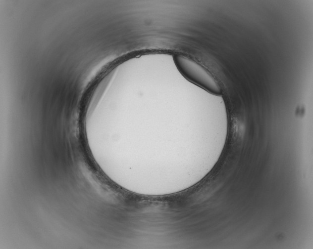 X0000111900676200908241003