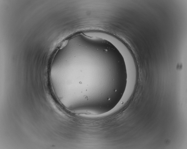 X0000111900677200908241003