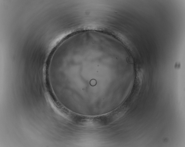 X0000111900678200908241003