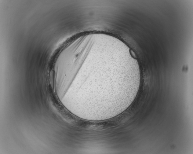 X0000111900680200908241003